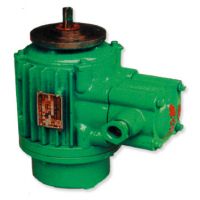 寧德起升電機高品質