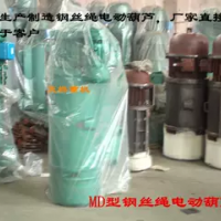 MD雙速鋼絲繩電動(dòng)葫蘆行吊電動(dòng)葫蘆天吊葫蘆